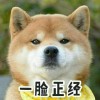 shengnong