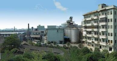 桂林力源集團董事長陳身陸還是丁身援？桂林力源糧油食品集團領(lǐng)導(dǎo)班子