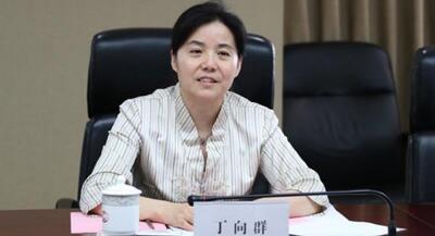 廣西副主席丁向群，調(diào)任安徽省委常委、組織部部長(zhǎng)，曾任國(guó)開(kāi)行副行長(zhǎng)(丁向群簡(jiǎn)歷)